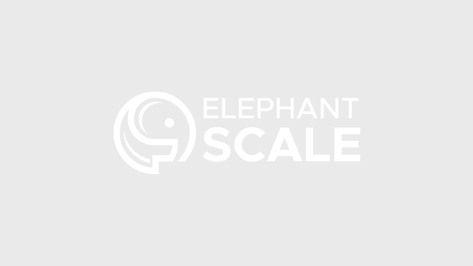 Elephant Scale is Building on the Success of its First Houston Hadoop Bootcamp