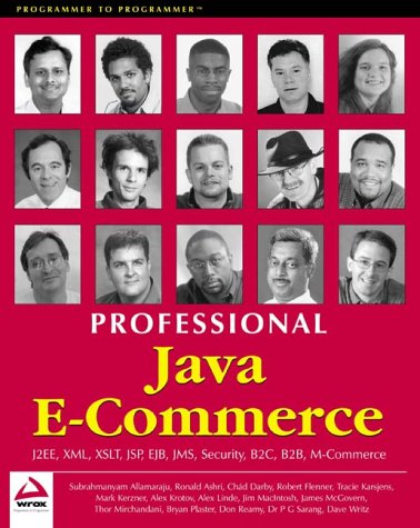 Professional Java E-Commerce cover