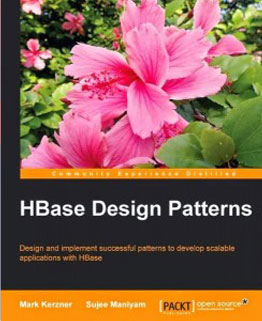 HBase Design Patterns