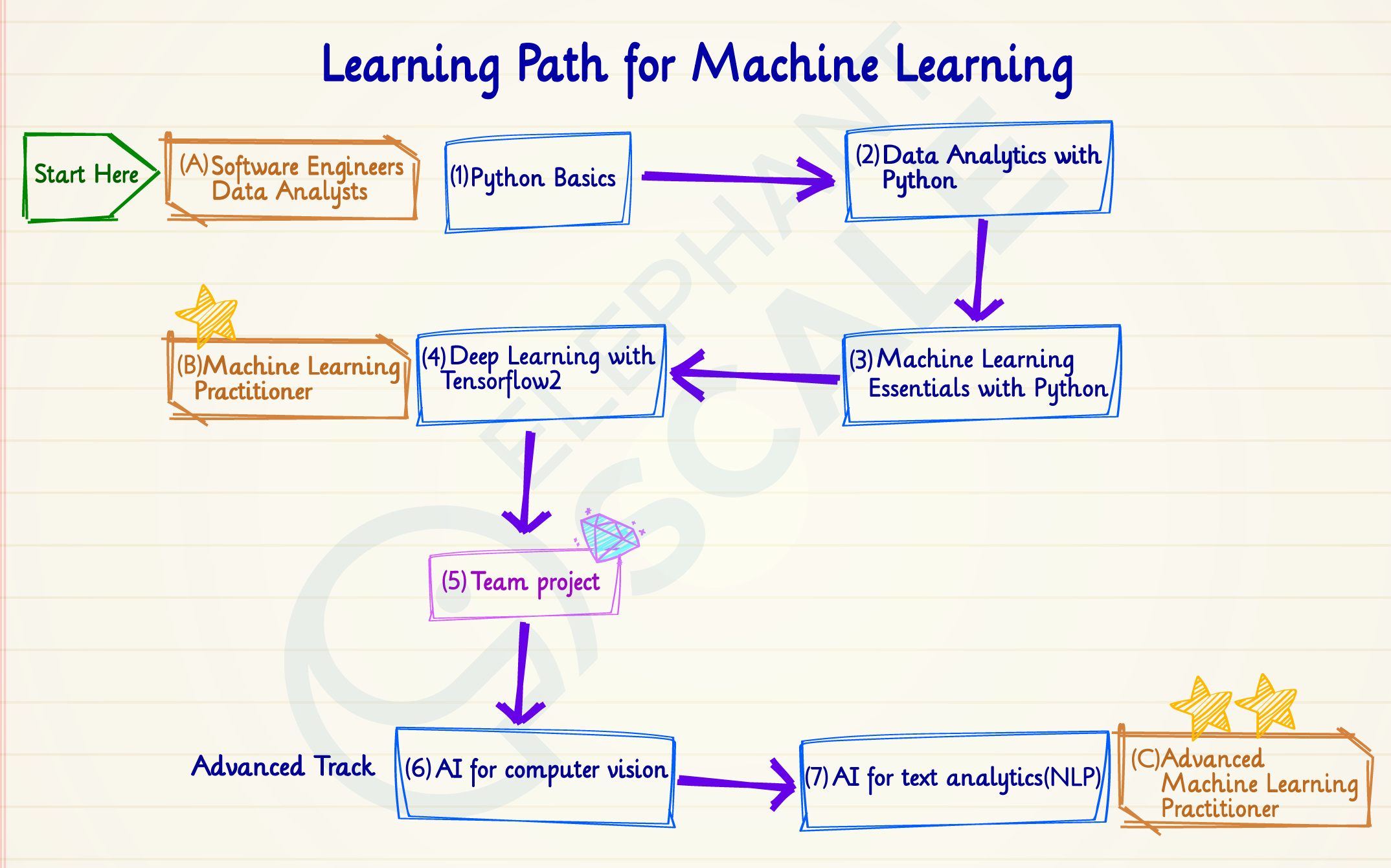 Learning Paths. Machine Path.